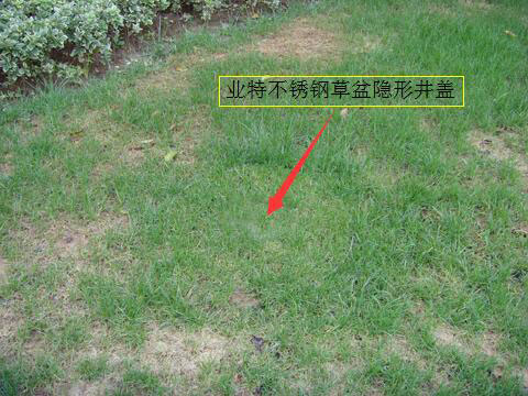 业特不锈钢草盆井盖案例图