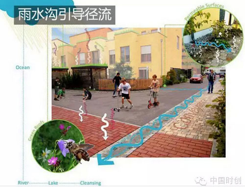 雨水沟引导径流