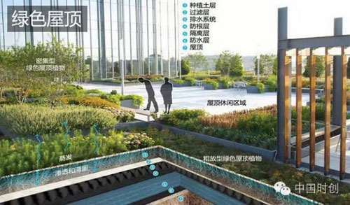 绿色屋顶