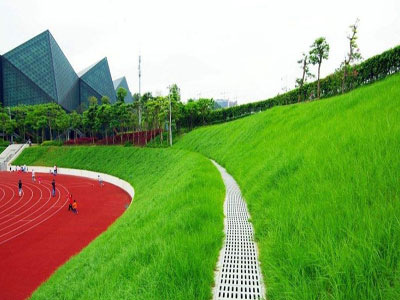 足球场排水沟效果图