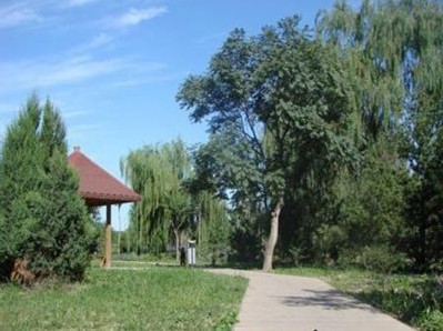 郊野公园排水沟