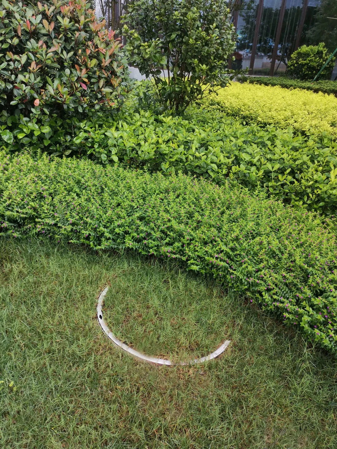 不锈钢园林景观绿化井盖