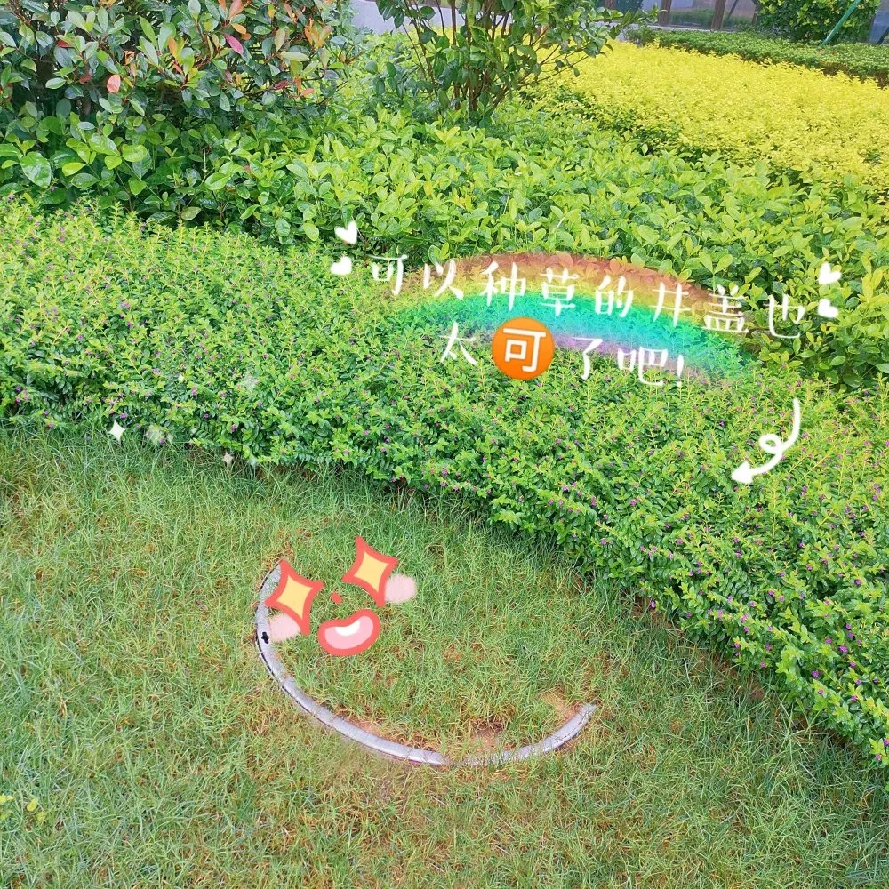 草坪井盖-草坪隐形井盖-优质草坪井盖